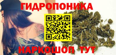 гашик Партизанск