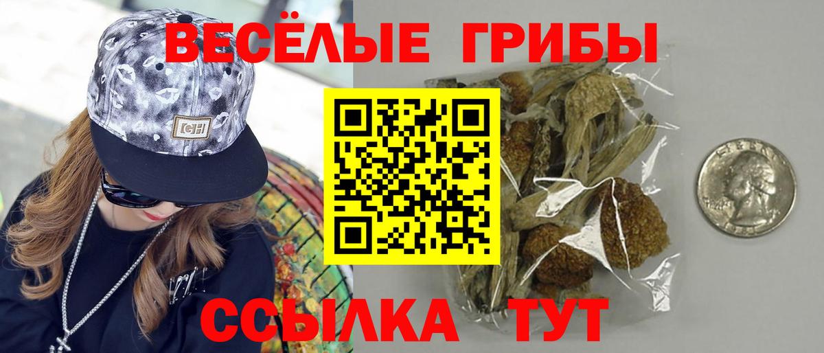Галлюциногенные грибы мицелий  Вход с VPN  Солнечногорск 